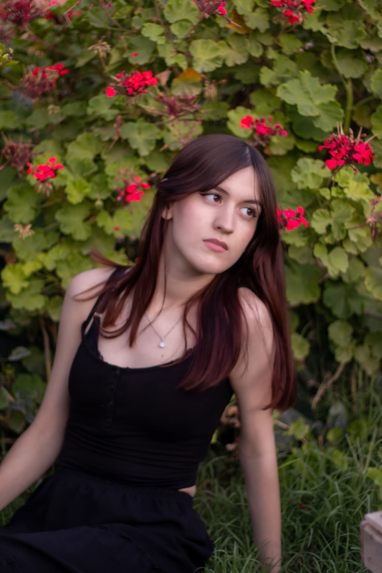 Retrato de una joven de vestido negro entre geranios rojos